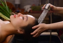 Gội Cơ Bản 